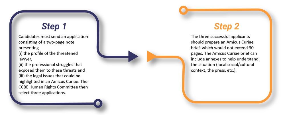 EN infographies 2024
