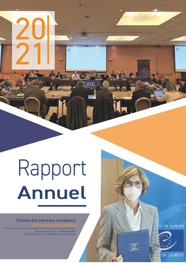 FR_2021_annual-report.pdf